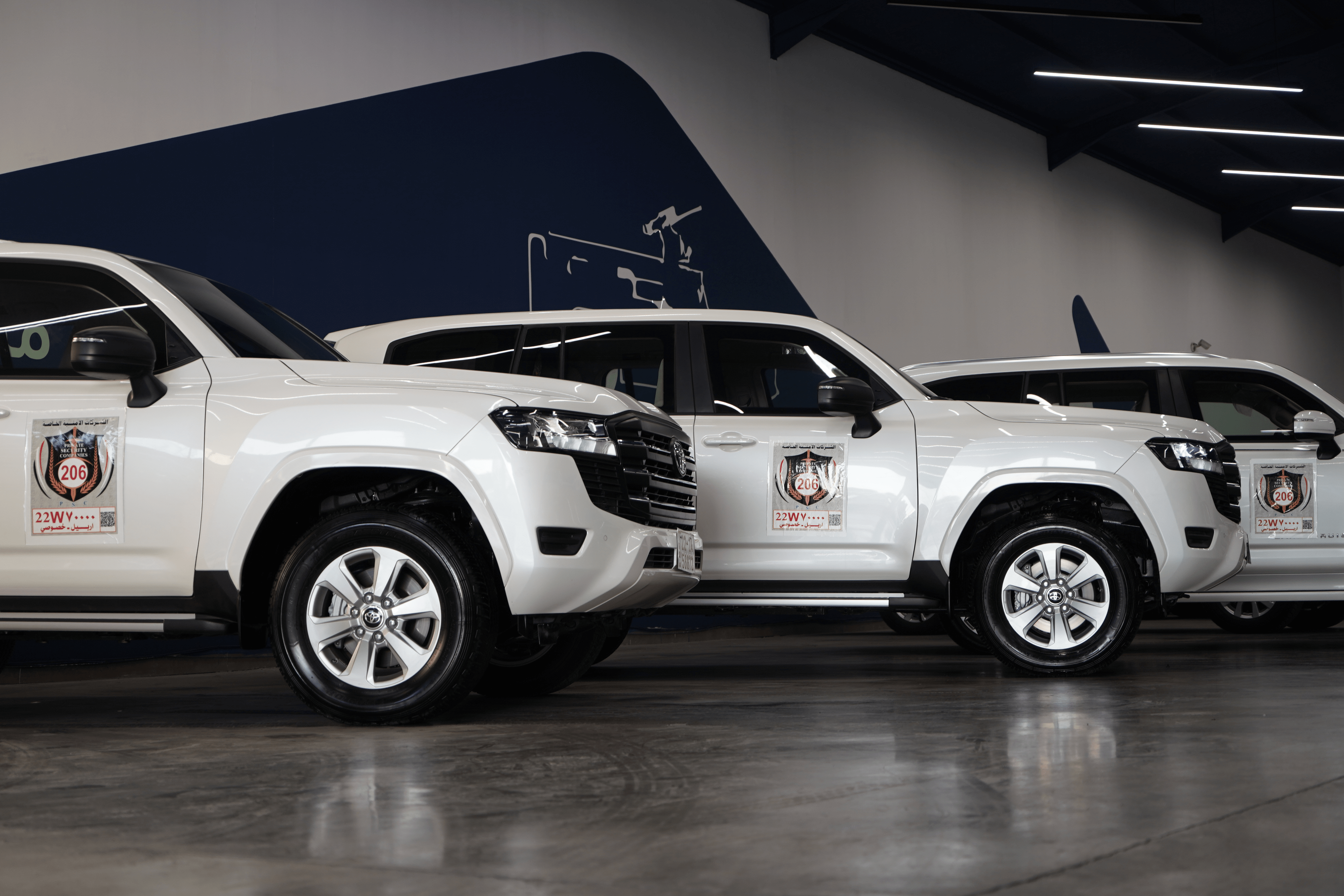 الحماية الدبلوماسية